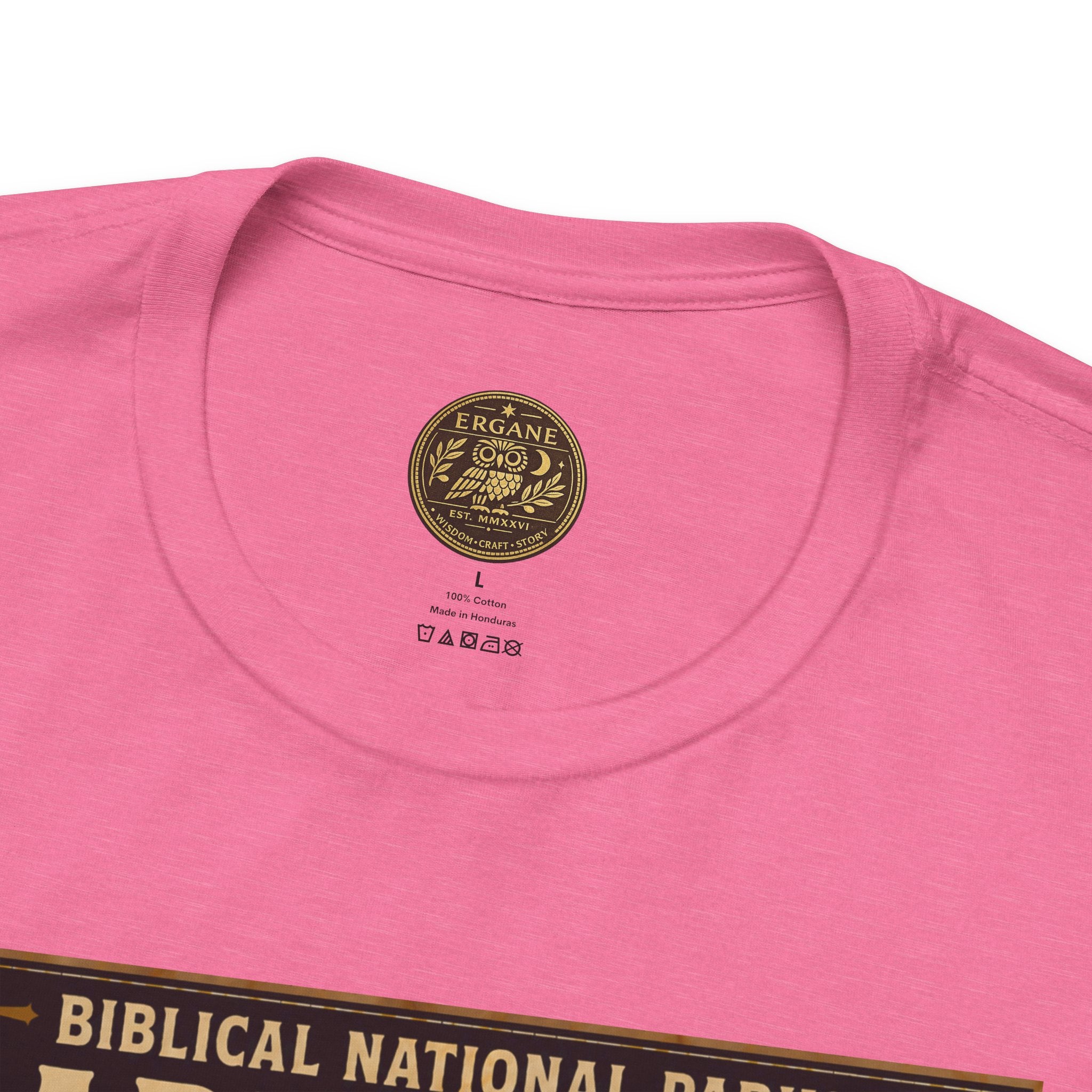 Biblical National Parks Collection VI- Galilee #032/035 Matthew 4 & Mark 1-2 | Vintage nature poster Tee | Biblical national parks graphic shirt