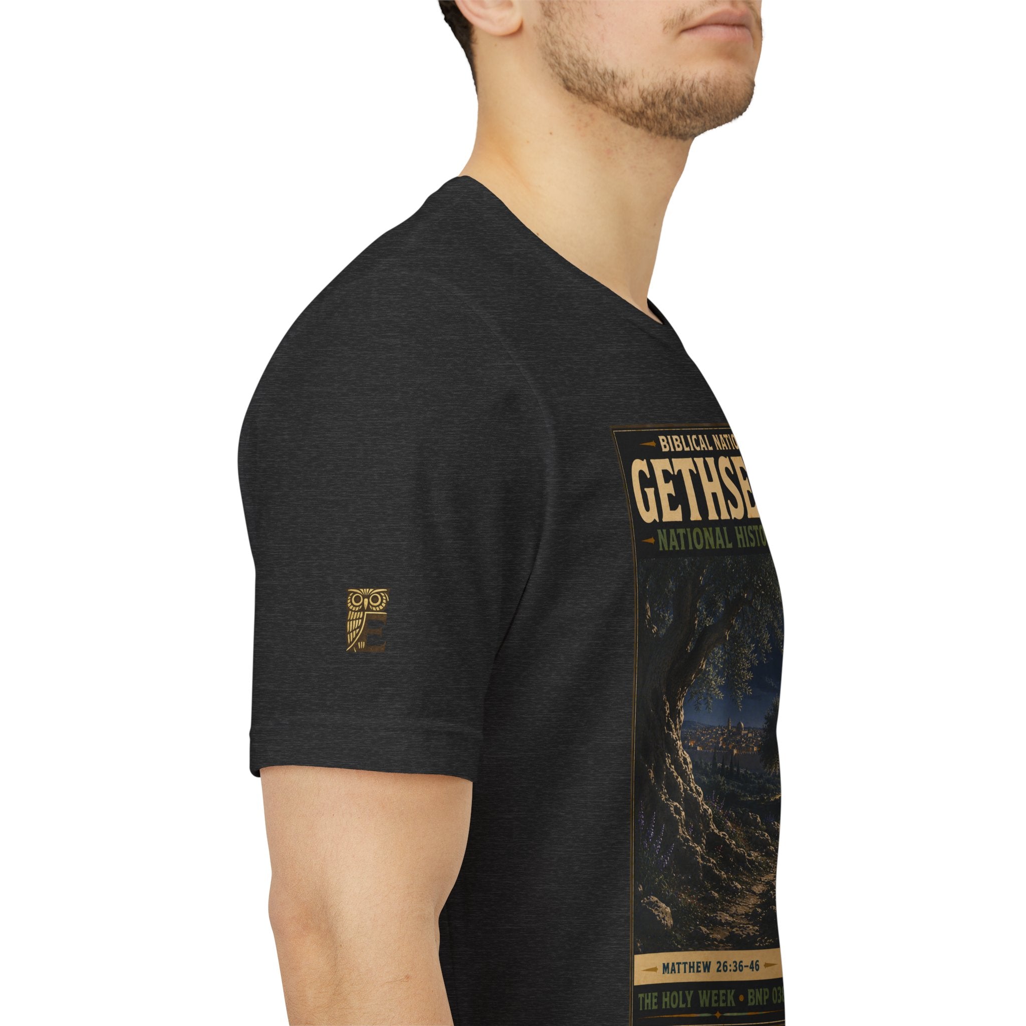 Biblical National Parks Collection VII- The Holy Week #038/041 | Matthew 26: 36-46 | Vintage nature poster Tee | Biblical national parks graphic shirt