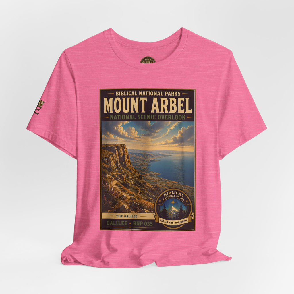 Biblical National Parks Collection VI- Galilee #035/035 The Galilee | Vintage nature poster Tee | Biblical national parks graphic shirt