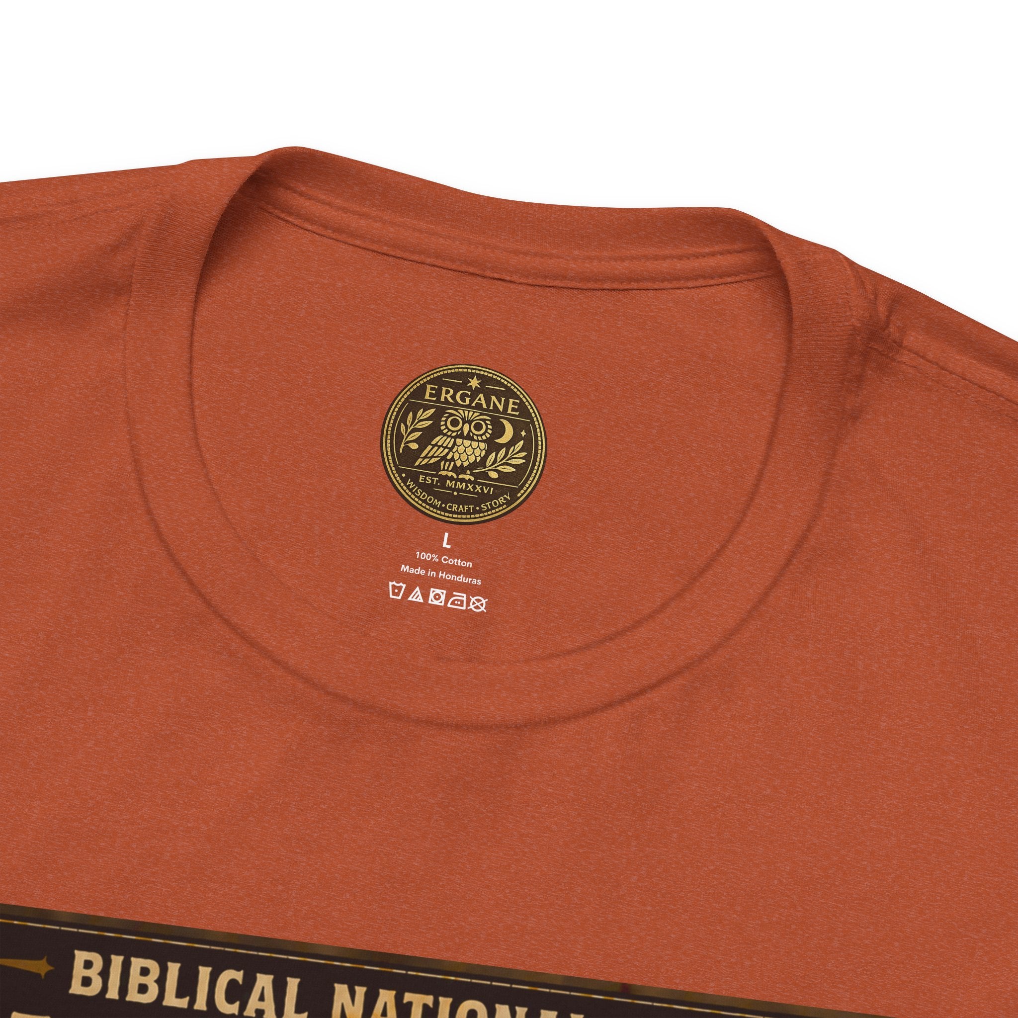 Biblical National Parks Collection VIII- The Apostles' Trails #042/049 | Acts 9 | Vintage nature poster Tee | Biblical national parks graphic shirt