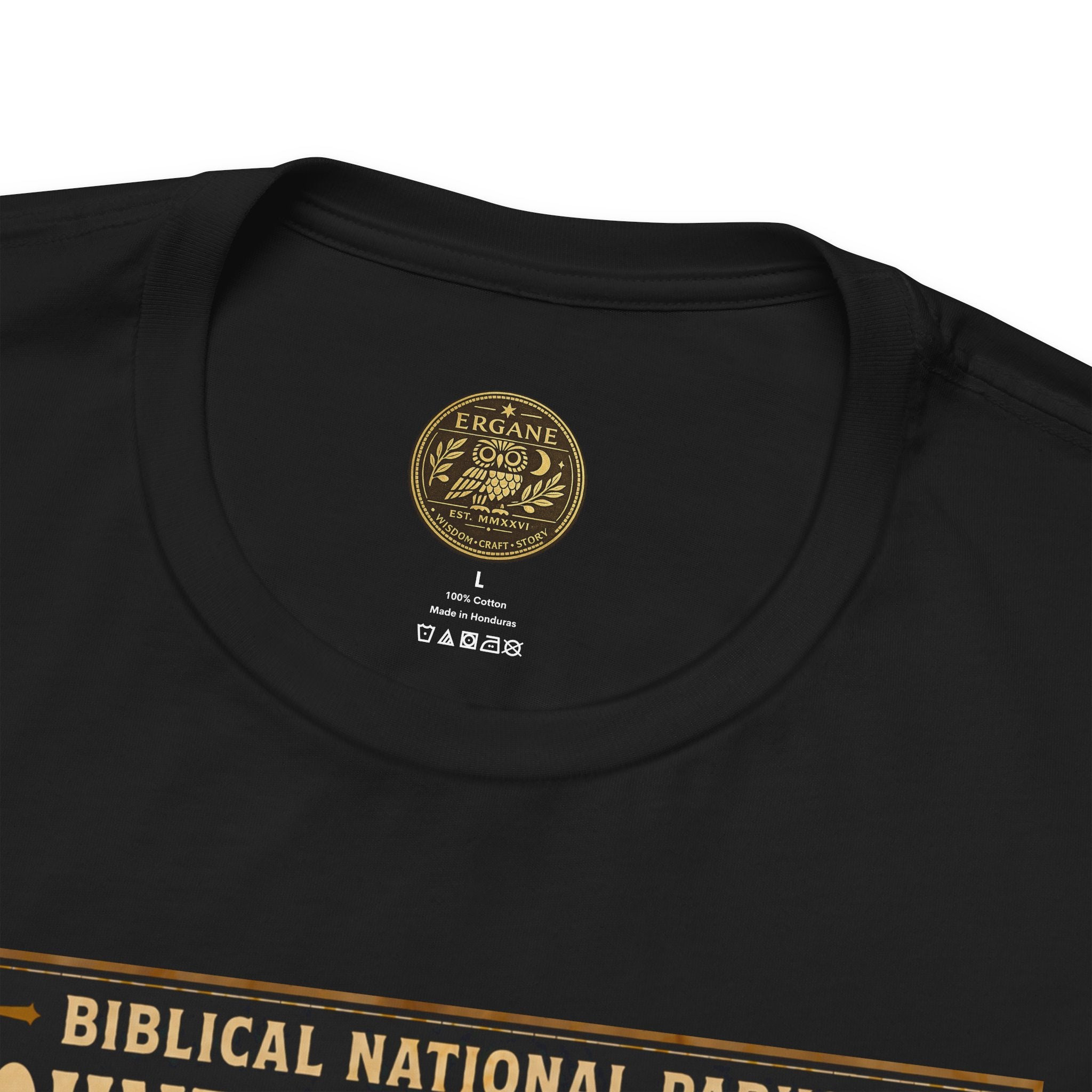 Biblical National Parks Collection VI- Galilee #033/035 Matthew 5-7 | Vintage nature poster Tee | Biblical national parks graphic shirt