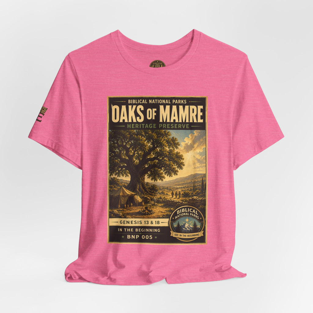 Biblical National Parks Collection I- In The Beginning #005/006 Genesis 13 & 18 | Vintage nature poster Tee | Biblical national parks graphic shirt