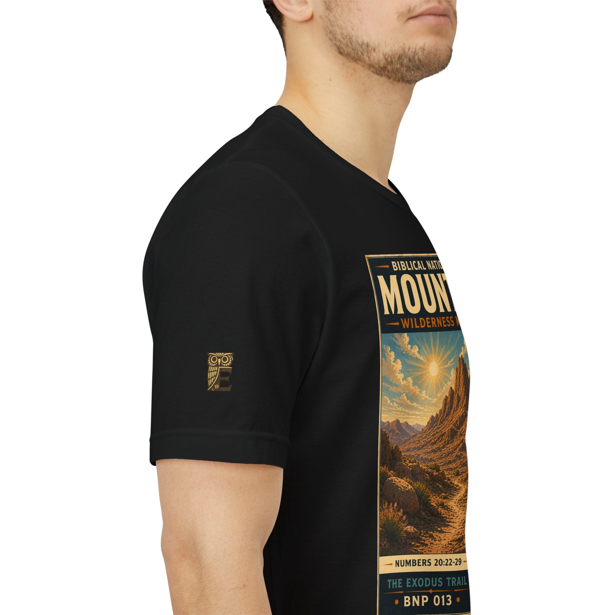 Biblical National Parks Collection II- The Exodus Trail #013/013 Exodus 20: 22-29 | Vintage nature poster Tee | Biblical national parks graphic shirt