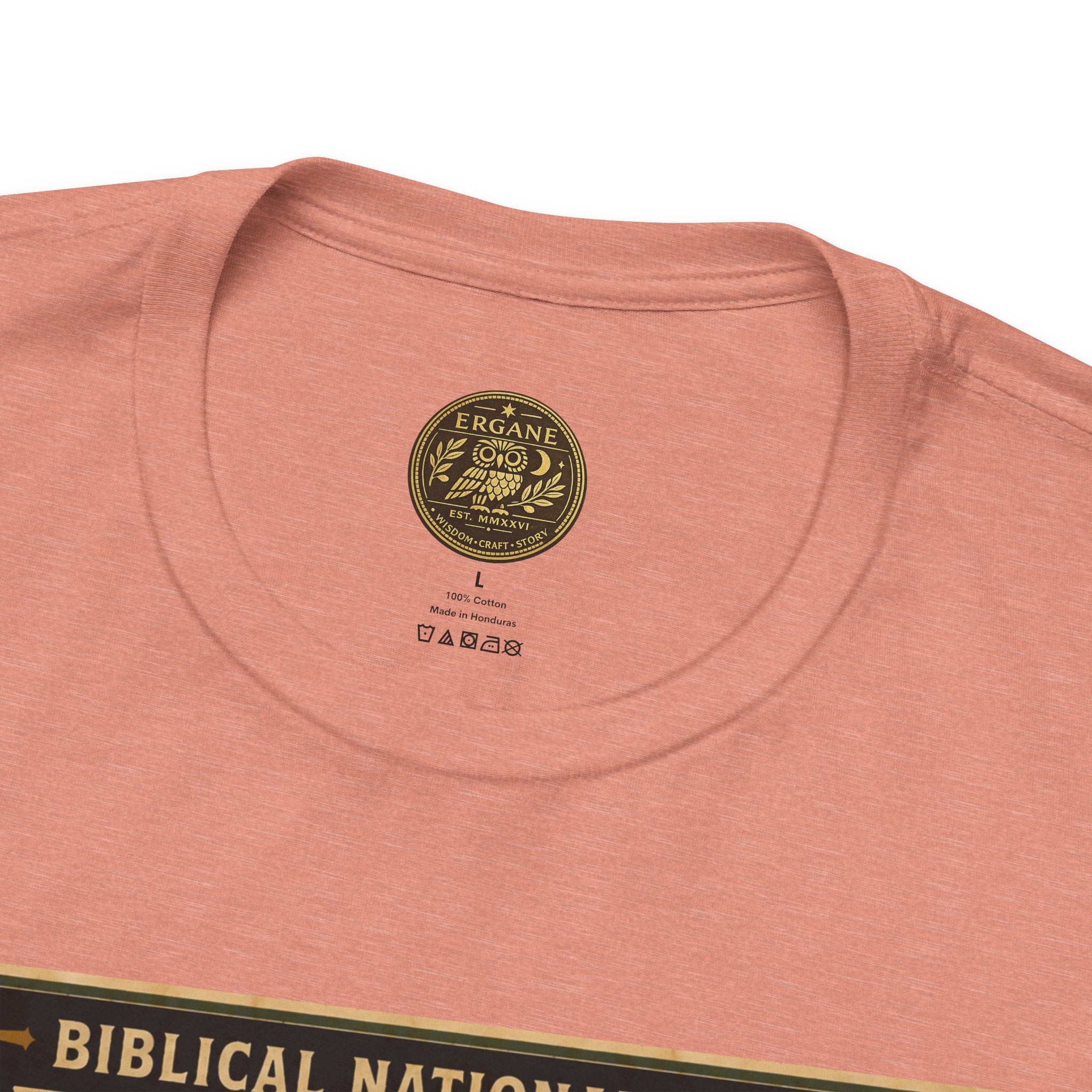 Biblical National Parks Collection V- Prophets & Wonders #029/030 Jonah 3 | Vintage nature poster Tee | Biblical national parks graphic shirt