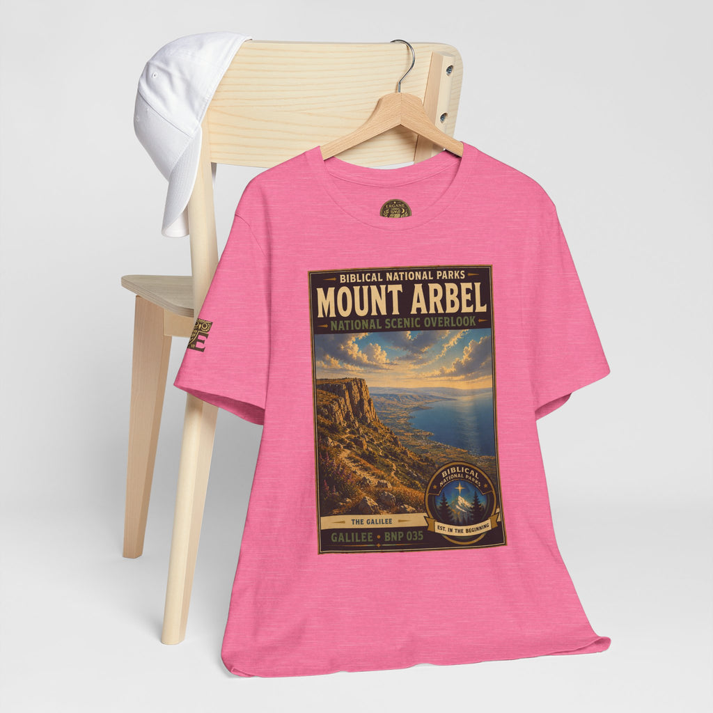 Biblical National Parks Collection VI- Galilee #035/035 The Galilee | Vintage nature poster Tee | Biblical national parks graphic shirt