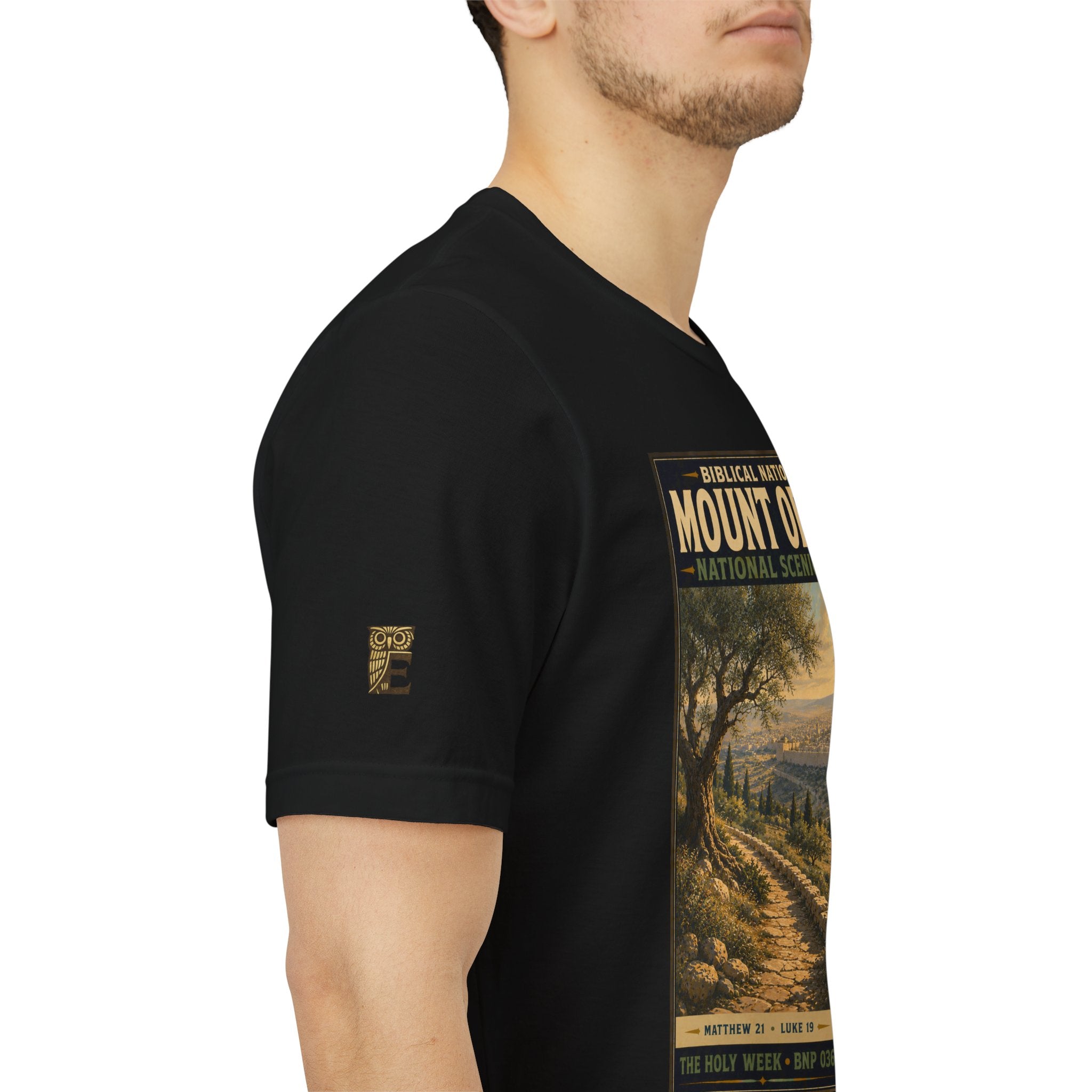 Biblical National Parks Collection VII- The Holy Week #036/041 | Matthew 21 - Luke 19 | Vintage nature poster Tee | Biblical national parks graphic shirt