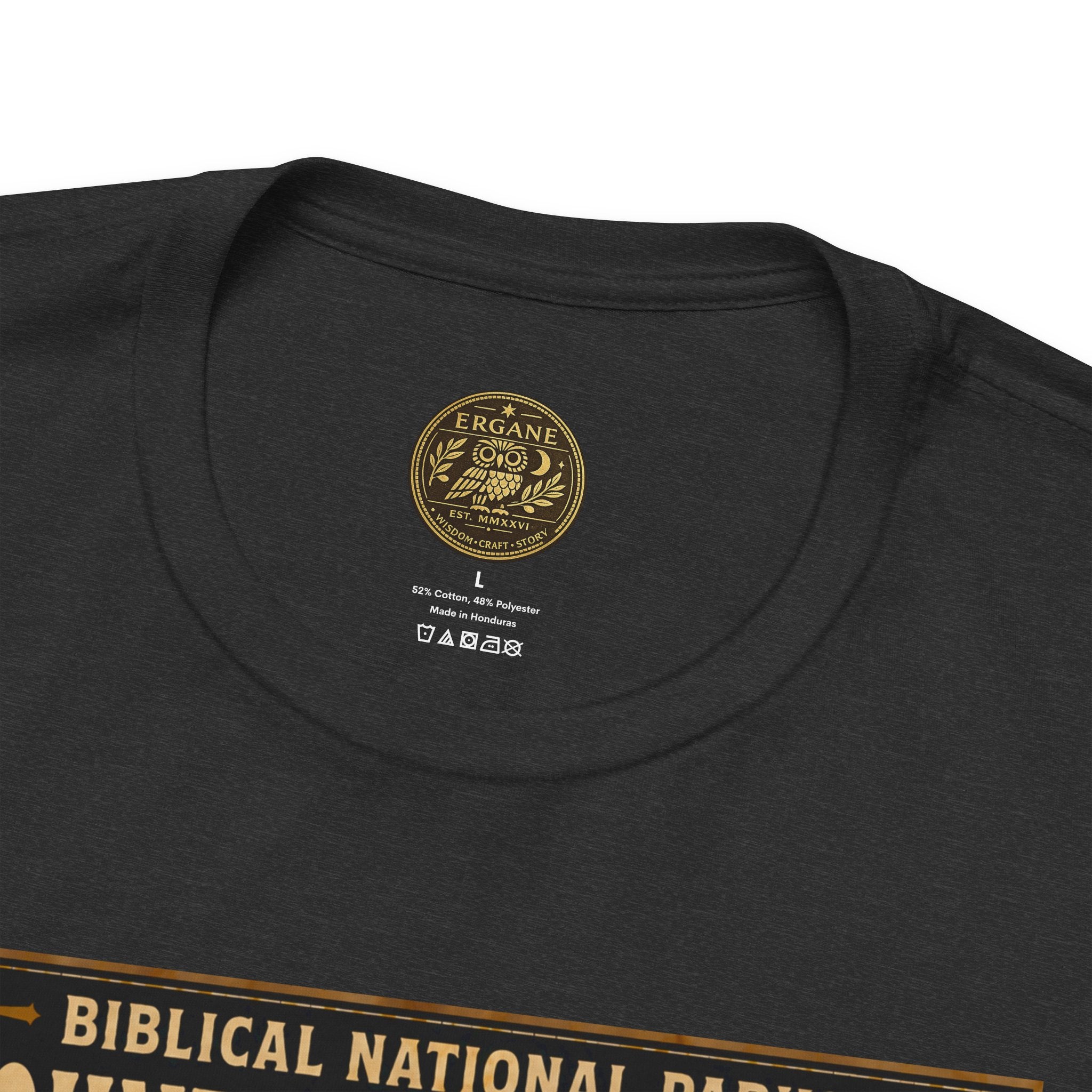 Biblical National Parks Collection VI- Galilee #033/035 Matthew 5-7 | Vintage nature poster Tee | Biblical national parks graphic shirt