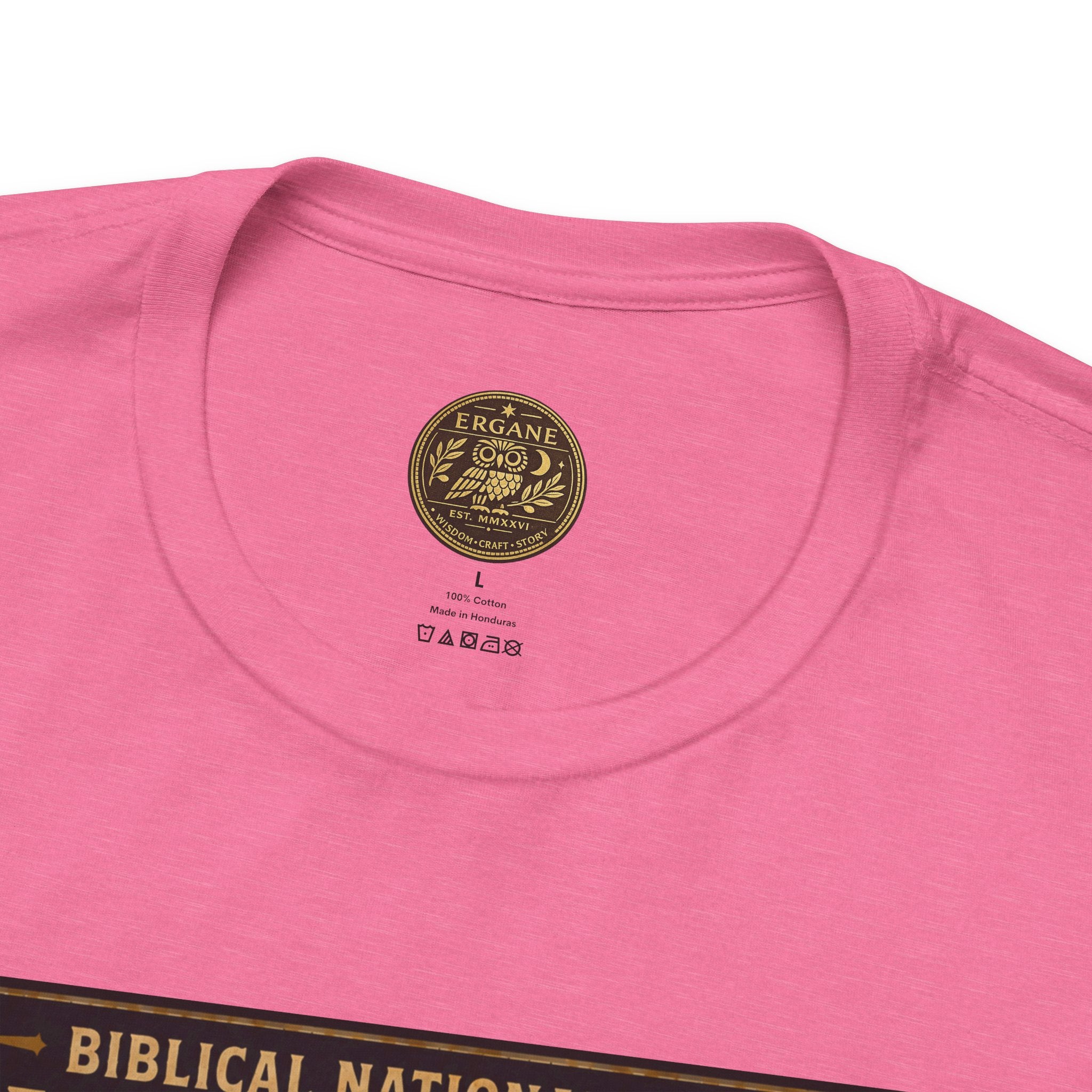Biblical National Parks Collection V- Prophets & Wonders #030/030 Jonah 1-2 | Vintage nature poster Tee | Biblical national parks graphic shirt
