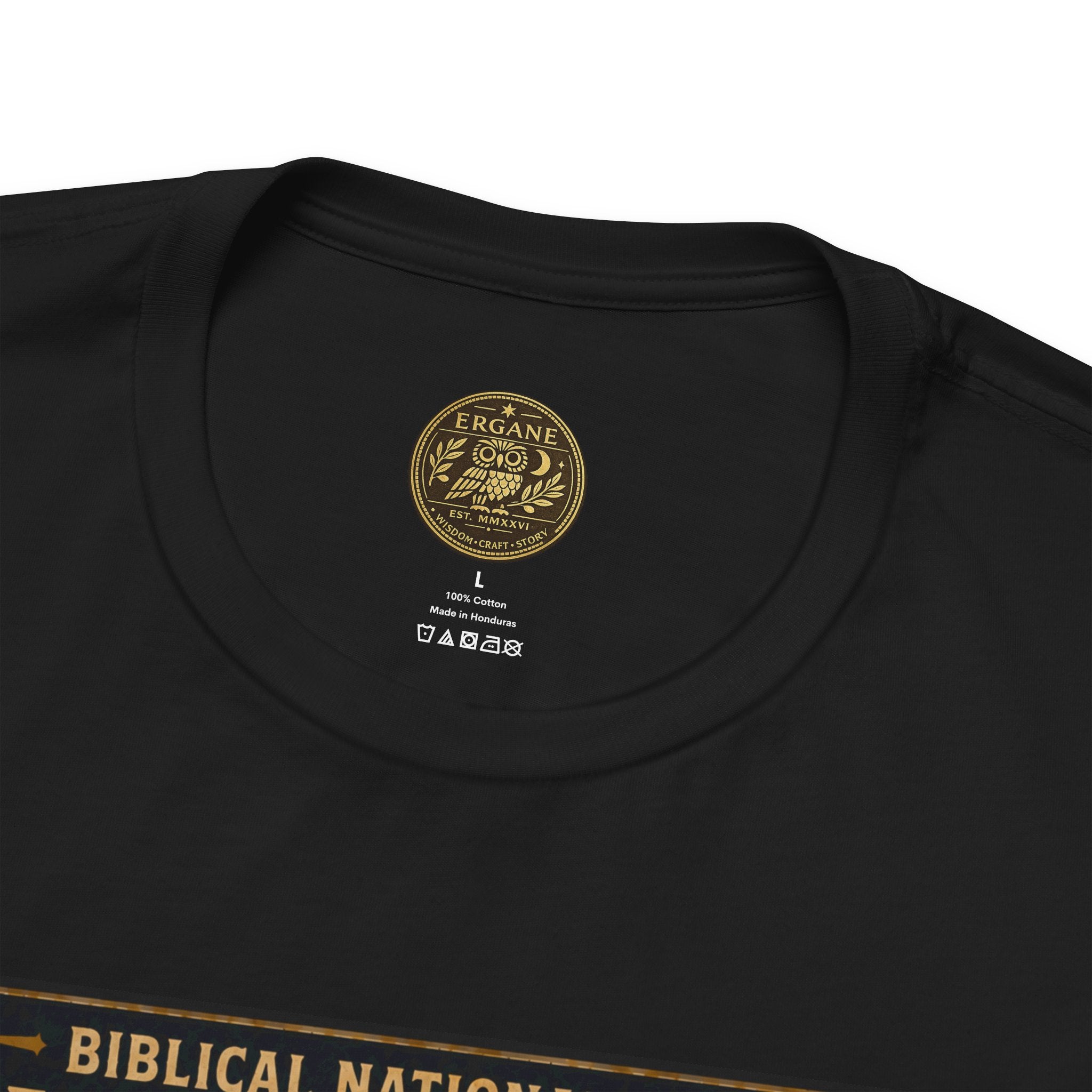 Biblical National Parks Collection V- Prophets & Wonders #030/030 Jonah 1-2 | Vintage nature poster Tee | Biblical national parks graphic shirt