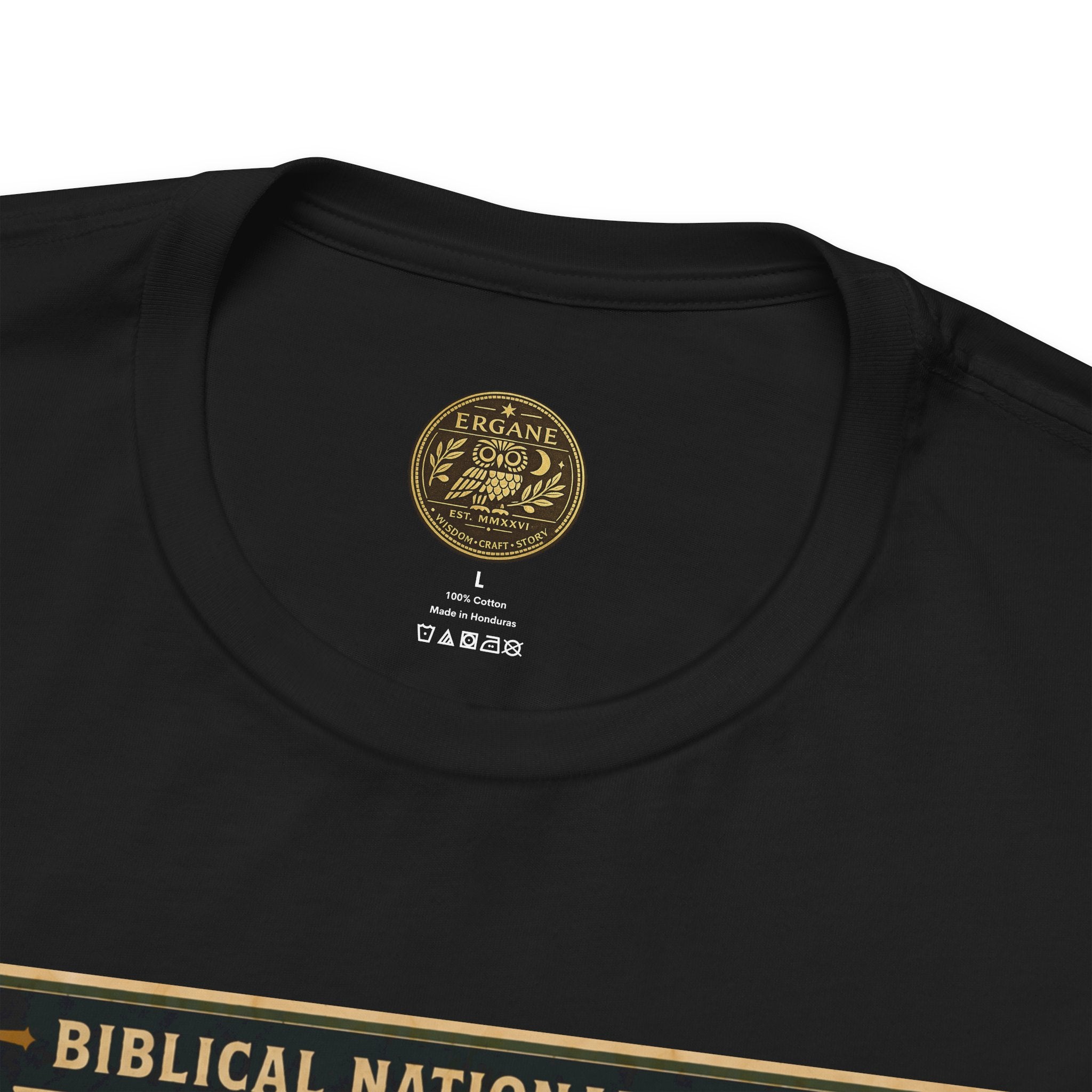 Biblical National Parks Collection V- Prophets & Wonders #029/030 Jonah 3 | Vintage nature poster Tee | Biblical national parks graphic shirt