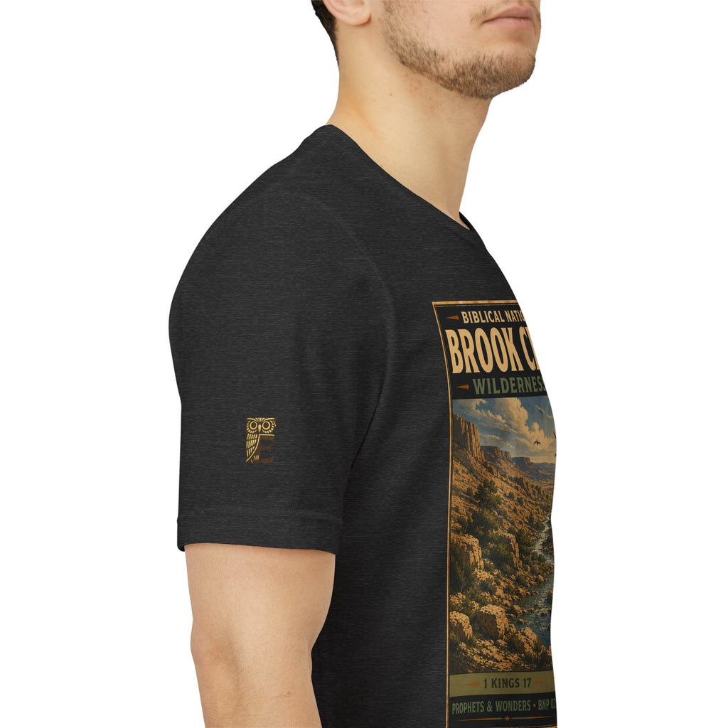 Biblical National Parks Collection V- Prophets & Wonders #024/030 1 Kings 17 | Vintage nature poster Tee | Biblical national parks graphic shirt