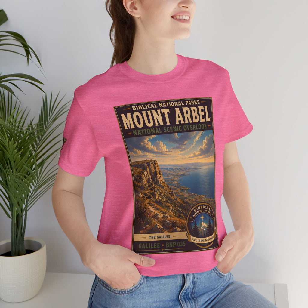 Biblical National Parks Collection VI- Galilee #035/035 The Galilee | Vintage nature poster Tee | Biblical national parks graphic shirt