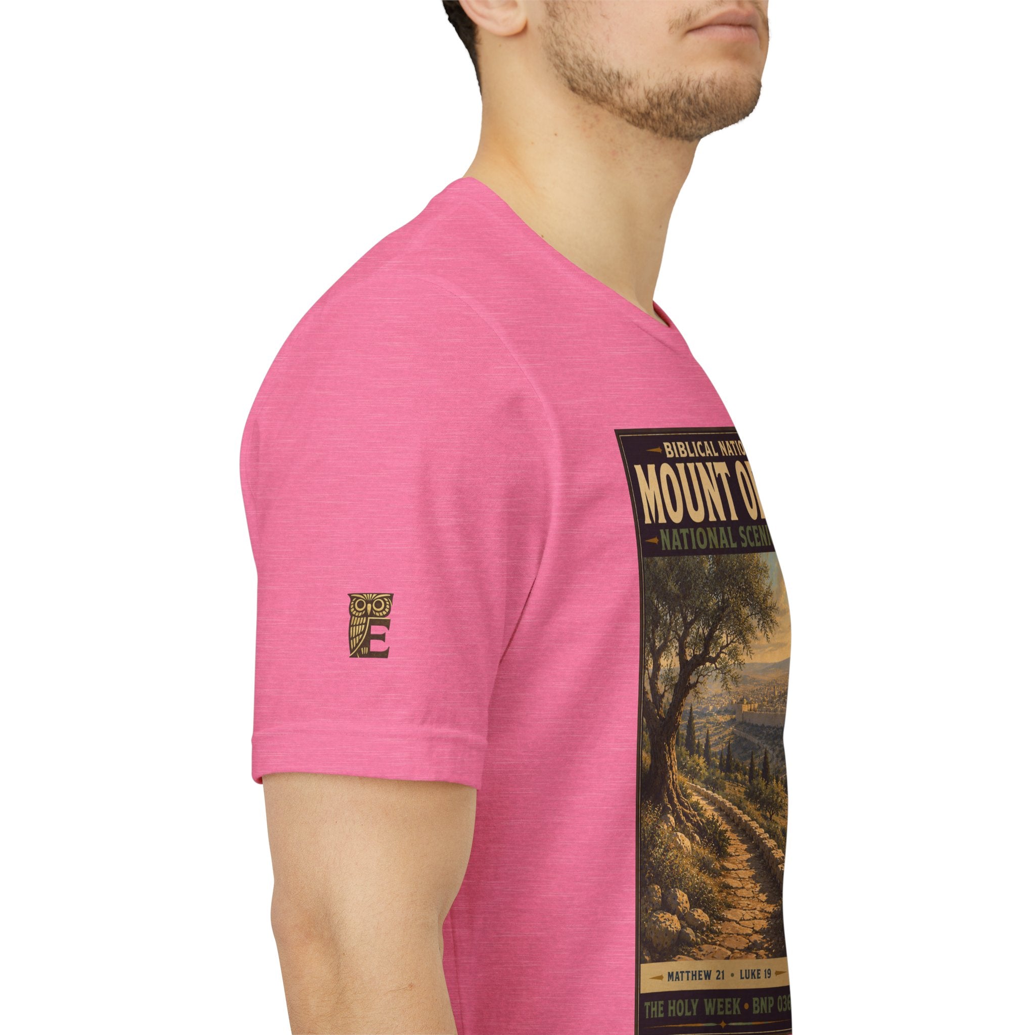 Biblical National Parks Collection VII- The Holy Week #036/041 | Matthew 21 - Luke 19 | Vintage nature poster Tee | Biblical national parks graphic shirt