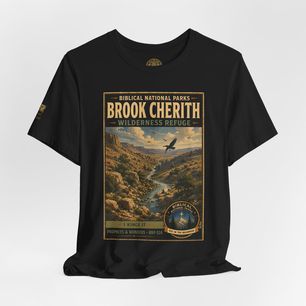 Biblical National Parks Collection V- Prophets & Wonders #024/030 1 Kings 17 | Vintage nature poster Tee | Biblical national parks graphic shirt