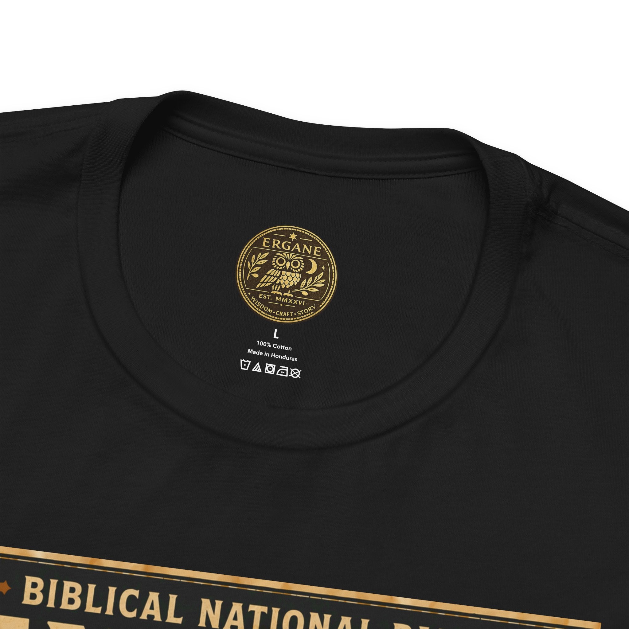 Biblical National Parks Collection IV- Heros & Battlefields #022/023 1 Samuel 23-24 | Vintage nature poster Tee | Biblical national parks graphic shirt