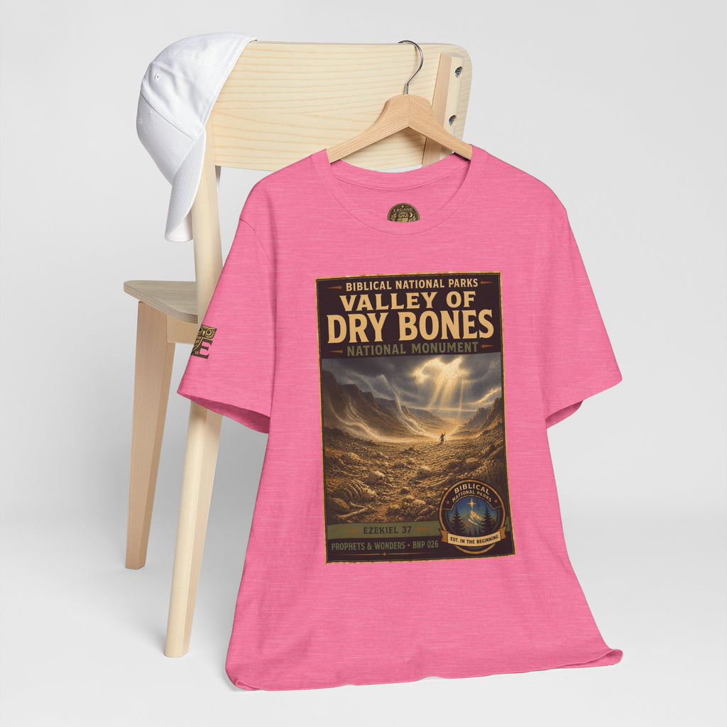 Biblical National Parks Collection V- Prophets & Wonders #026/030 Ezekiel 37  | Vintage nature poster Tee | Biblical national parks graphic shirt