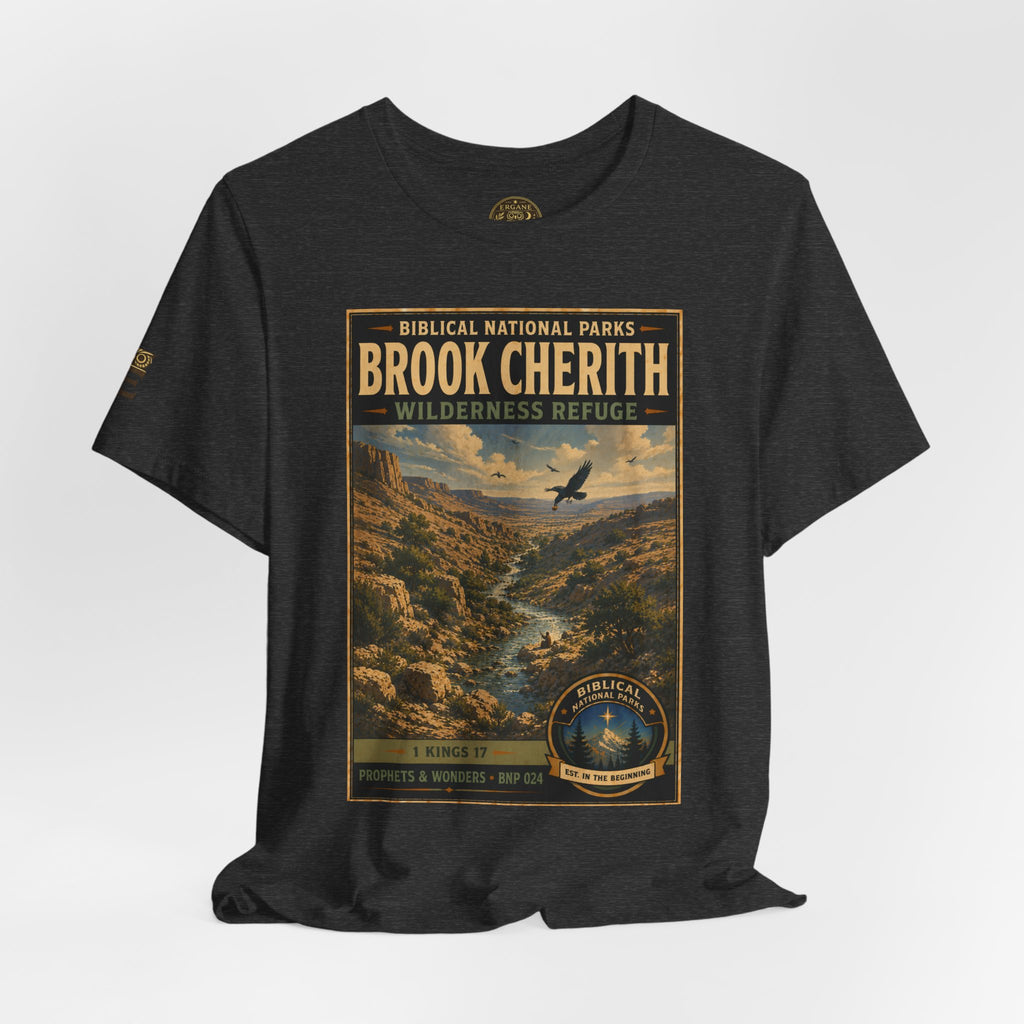 Biblical National Parks Collection V- Prophets & Wonders #024/030 1 Kings 17 | Vintage nature poster Tee | Biblical national parks graphic shirt