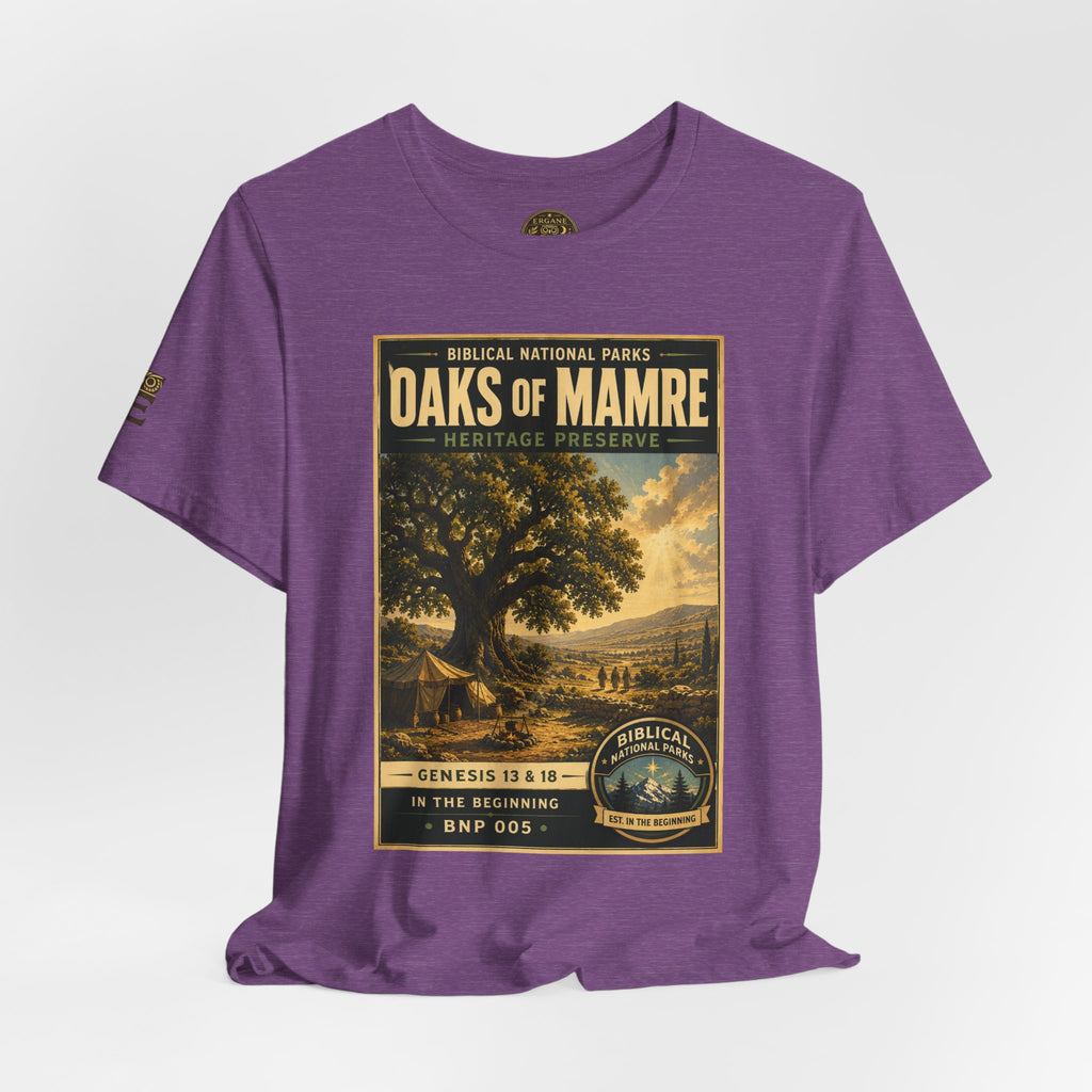 Biblical National Parks Collection I- In The Beginning #005/006 Genesis 13 & 18 | Vintage nature poster Tee | Biblical national parks graphic shirt