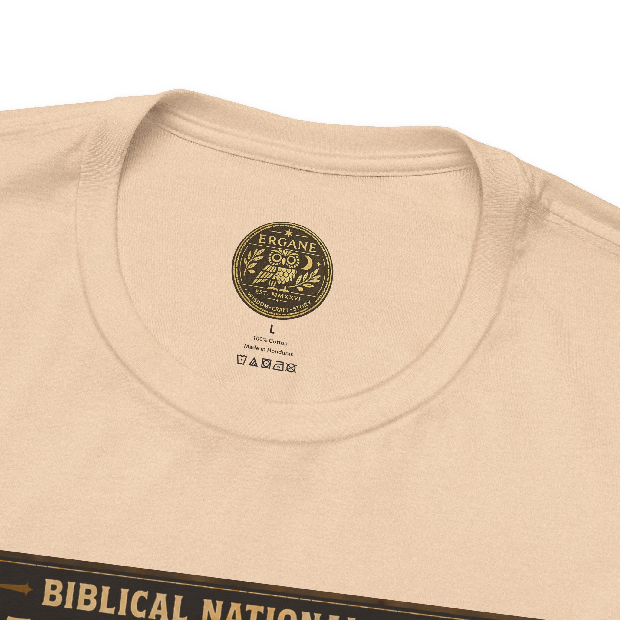 Biblical National Parks Collection VIII- The Apostles' Trails #042/049 | Acts 9 | Vintage nature poster Tee | Biblical national parks graphic shirt