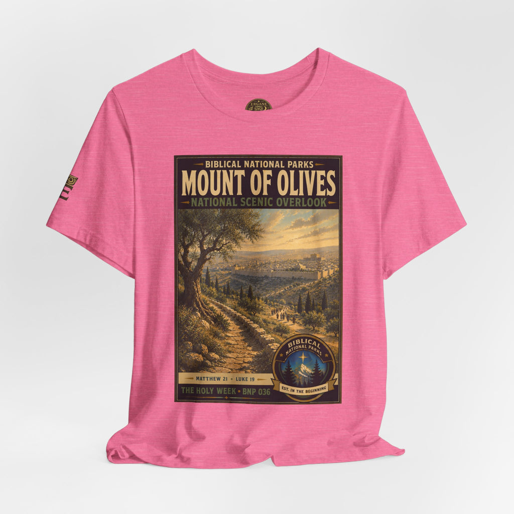 Biblical National Parks Collection VII- The Holy Week #036/041 | Matthew 21 - Luke 19 | Vintage nature poster Tee | Biblical national parks graphic shirt