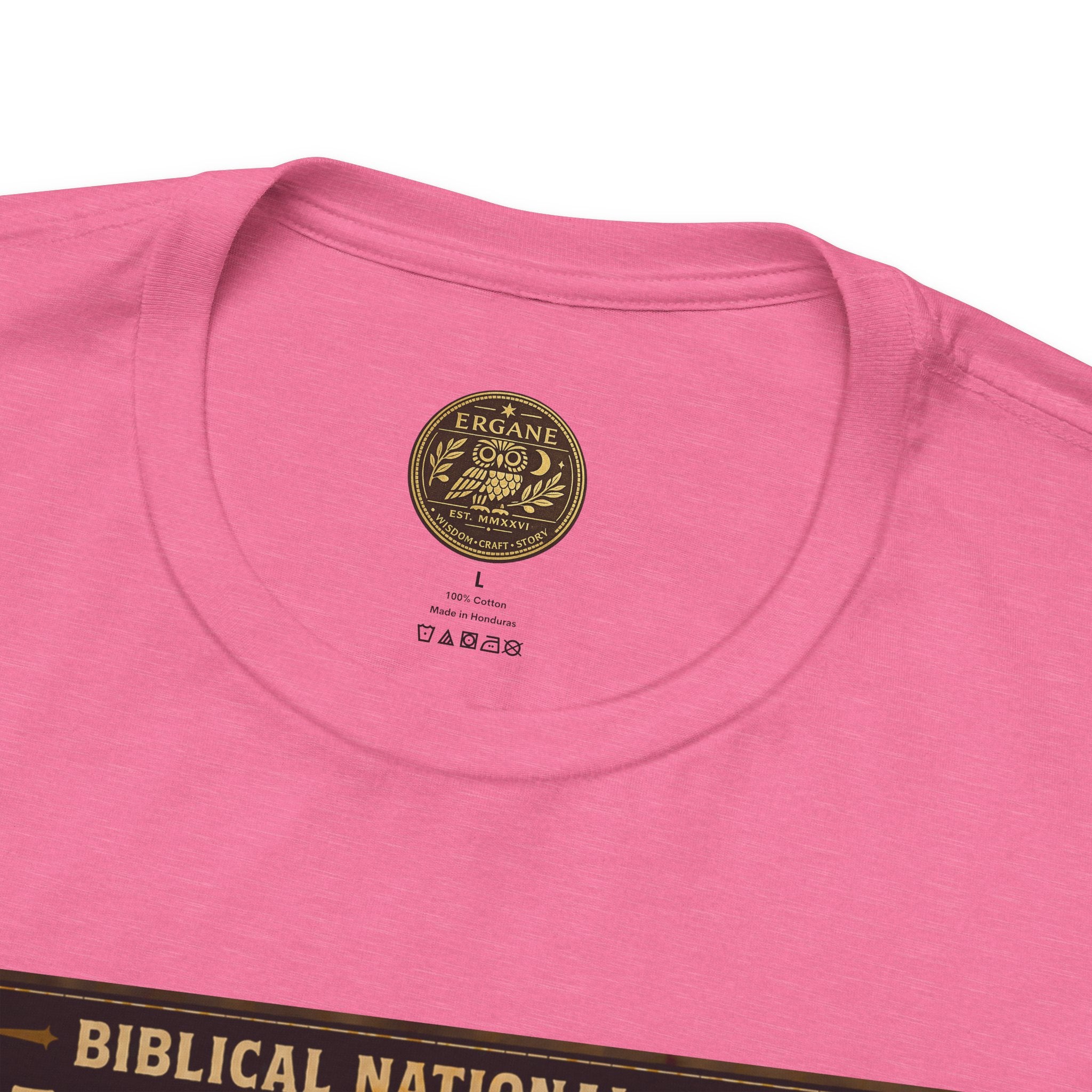 Biblical National Parks Collection VIII- The Apostles' Trails #042/049 | Acts 9 | Vintage nature poster Tee | Biblical national parks graphic shirt