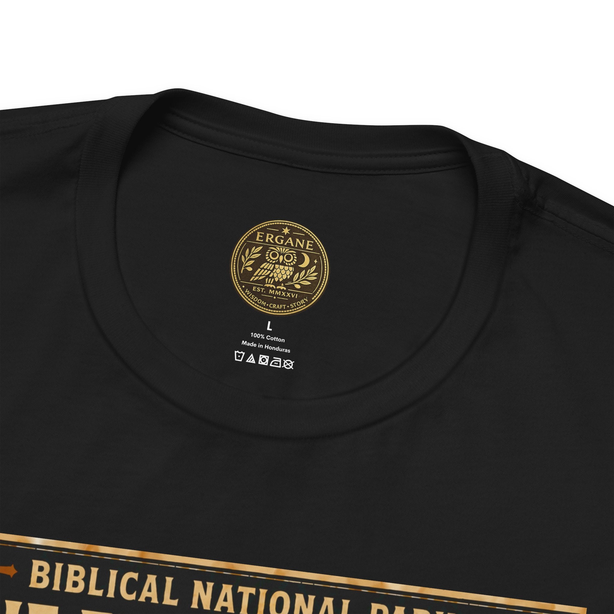 Biblical National Parks Collection V- Prophets & Wonders #028/030 Daniel 3 | Vintage nature poster Tee | Biblical national parks graphic shirt