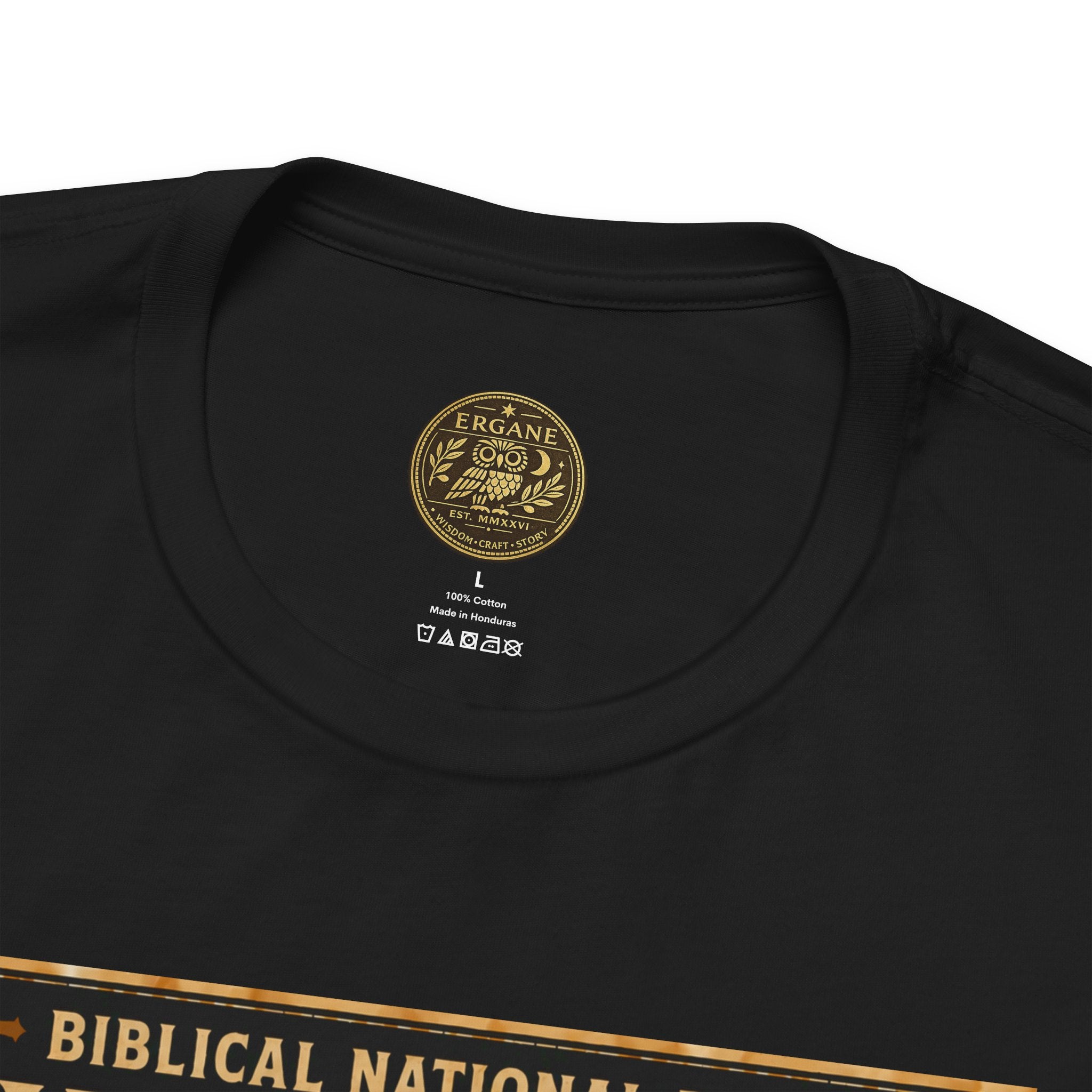 Biblical National Parks Collection V- Prophets & Wonders #026/030 Ezekiel 37  | Vintage nature poster Tee | Biblical national parks graphic shirt