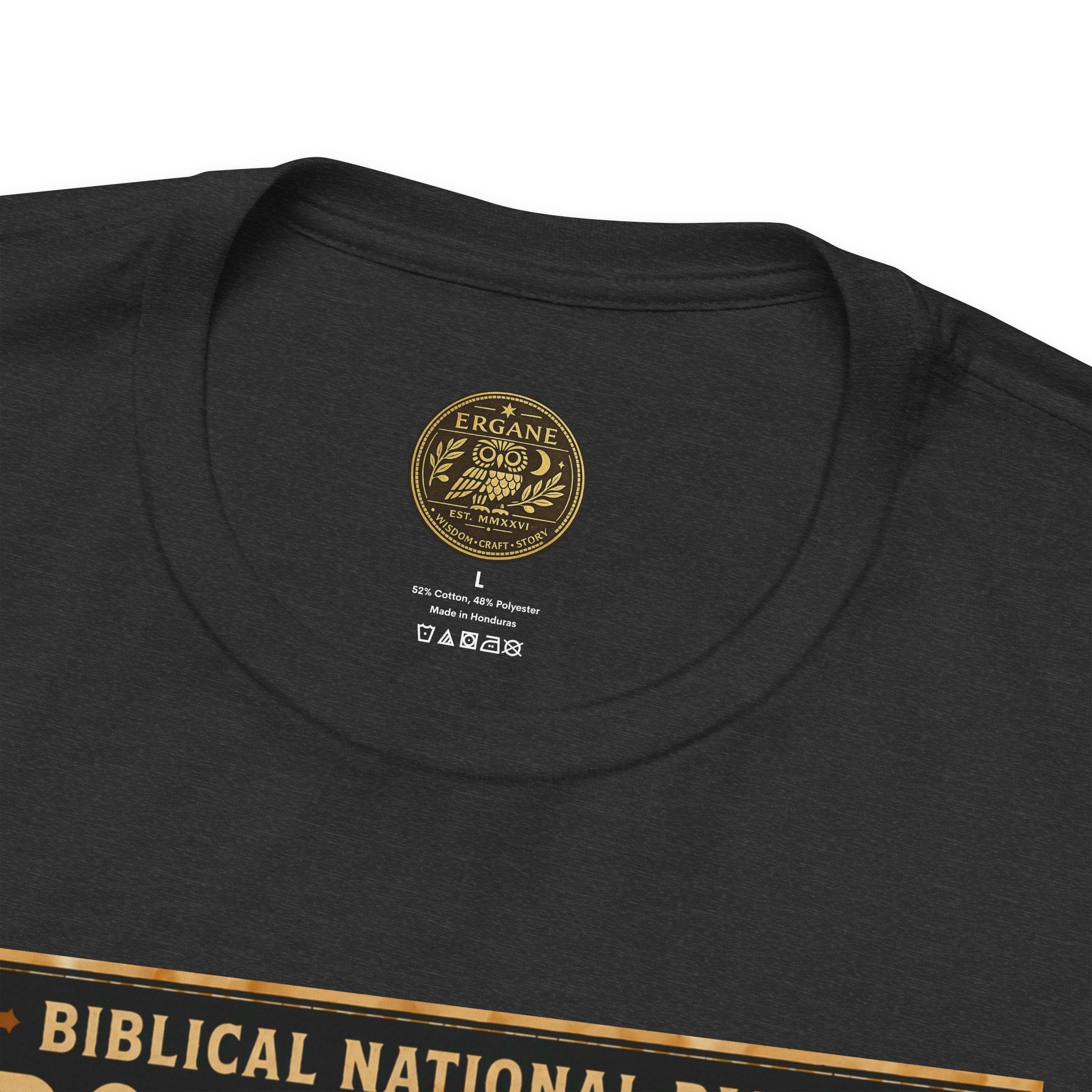 Biblical National Parks Collection V- Prophets & Wonders #024/030 1 Kings 17 | Vintage nature poster Tee | Biblical national parks graphic shirt