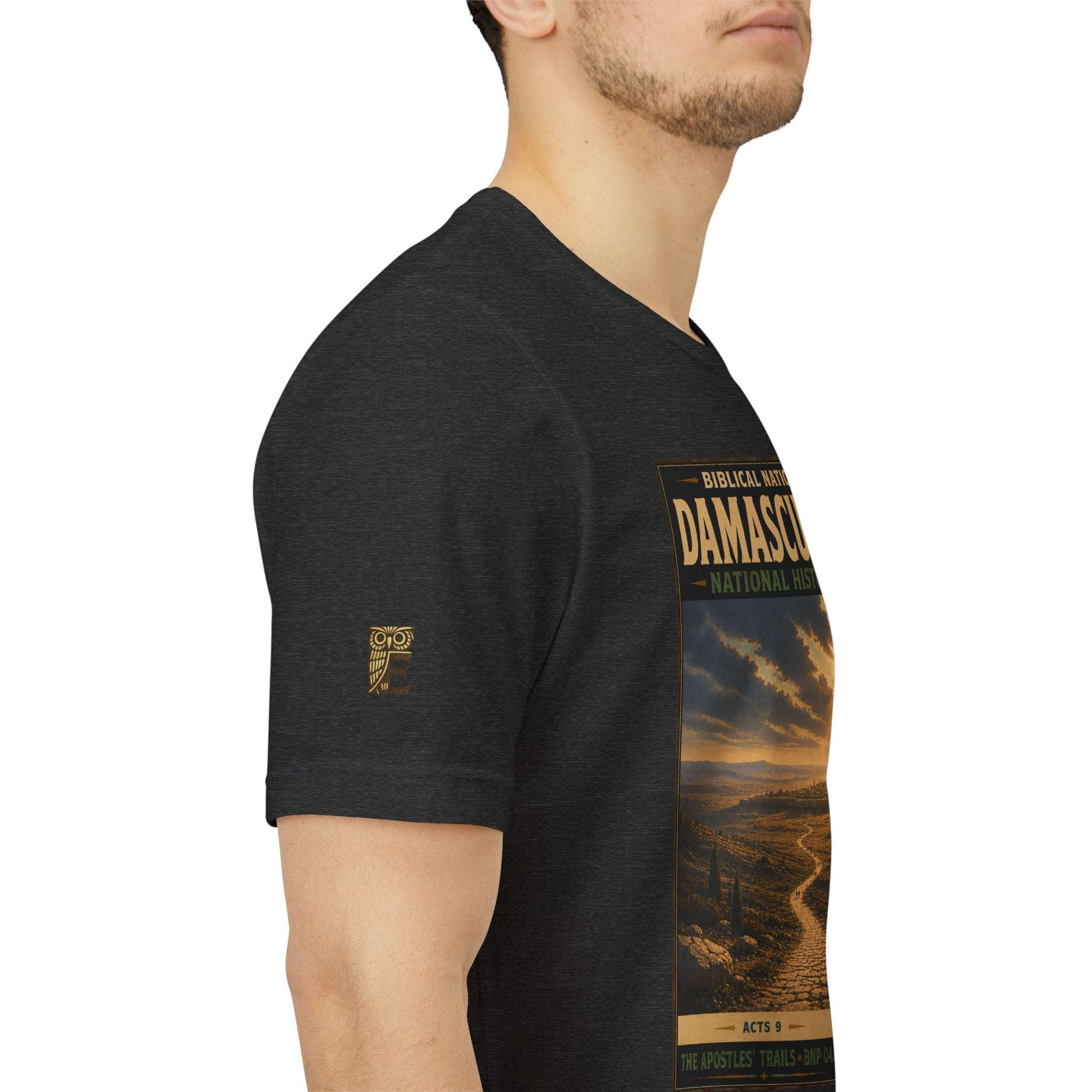 Biblical National Parks Collection VIII- The Apostles' Trails #042/049 | Acts 9 | Vintage nature poster Tee | Biblical national parks graphic shirt