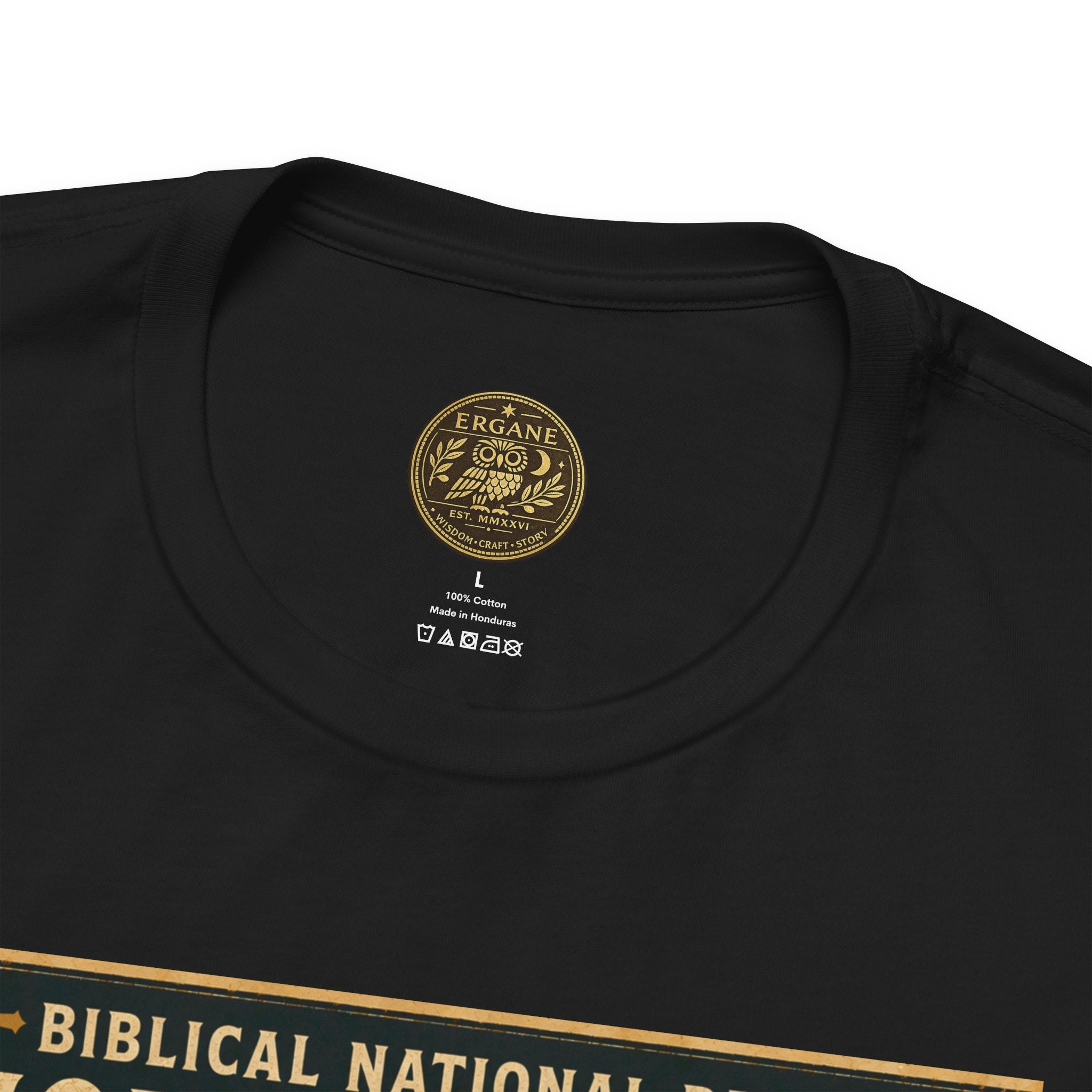 Biblical National Parks Collection IV- Heros & Battlefields #020/023 Judges 4 | Vintage nature poster Tee | Biblical national parks graphic shirt