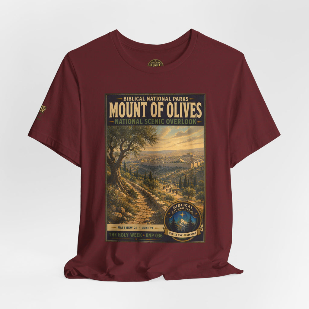 Biblical National Parks Collection VII- The Holy Week #036/041 | Matthew 21 - Luke 19 | Vintage nature poster Tee | Biblical national parks graphic shirt