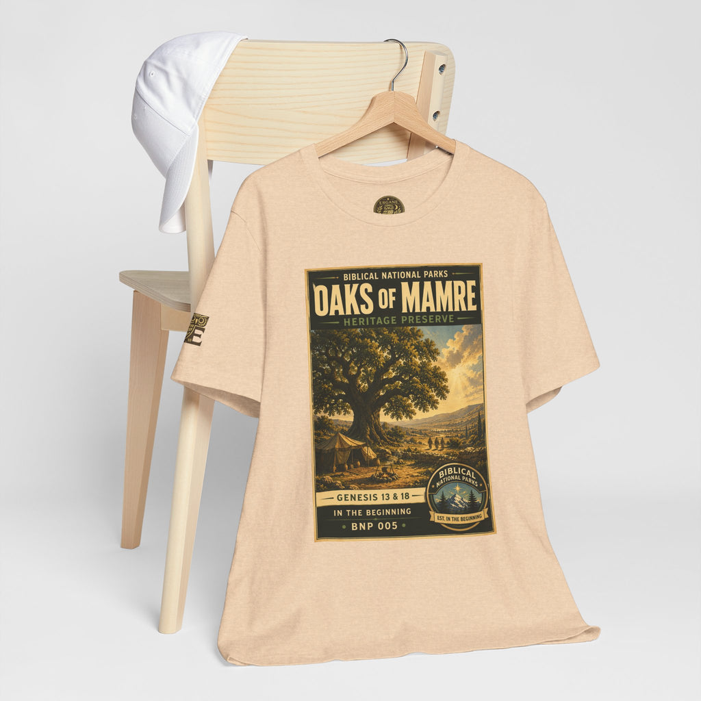 Biblical National Parks Collection I- In The Beginning #005/006 Genesis 13 & 18 | Vintage nature poster Tee | Biblical national parks graphic shirt