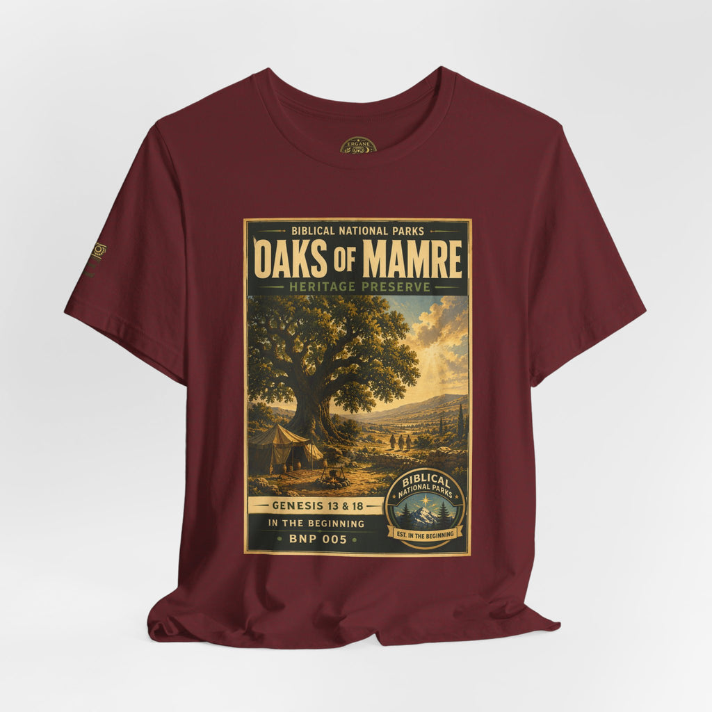 Biblical National Parks Collection I- In The Beginning #005/006 Genesis 13 & 18 | Vintage nature poster Tee | Biblical national parks graphic shirt