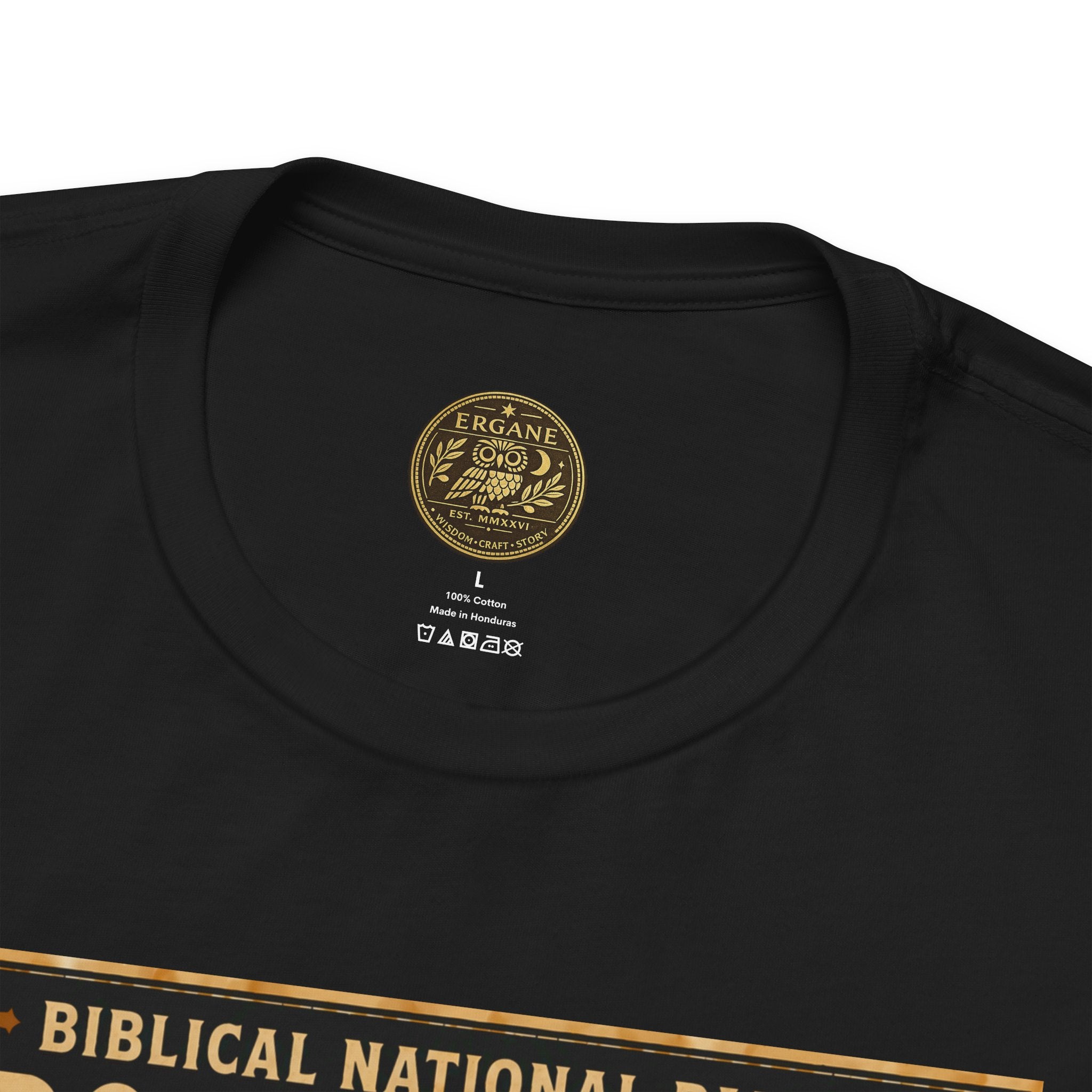 Biblical National Parks Collection V- Prophets & Wonders #024/030 1 Kings 17 | Vintage nature poster Tee | Biblical national parks graphic shirt