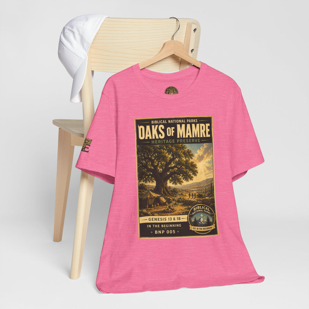Biblical National Parks Collection I- In The Beginning #005/006 Genesis 13 & 18 | Vintage nature poster Tee | Biblical national parks graphic shirt